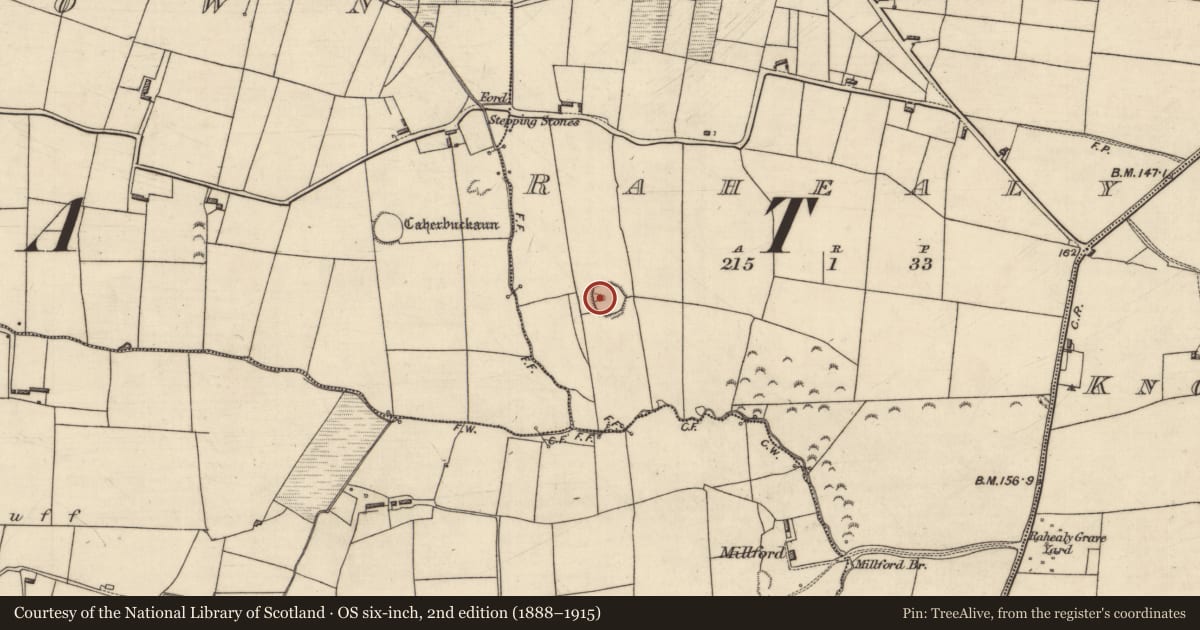 Ordnance Survey six-inch map, 2nd edition (1888–1915) covering the location of Souterrain, Rahealy, County Kerry, with a pin at the register's coordinates