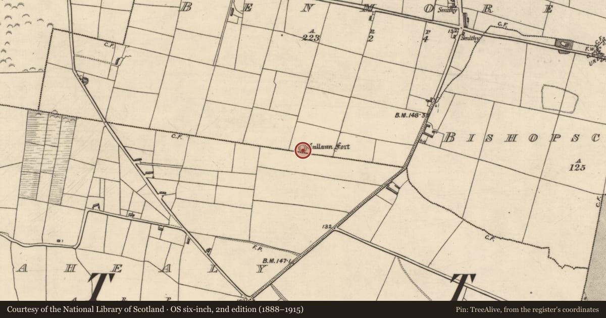 Ordnance Survey six-inch map, 2nd edition (1888–1915) covering the location of Ringfort - rath, Benmore, County Kerry, with a pin at the register's coordinates