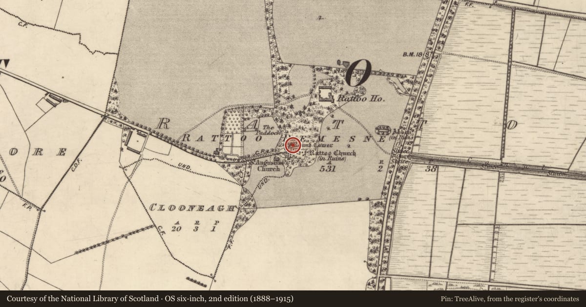 Ordnance Survey six-inch map, 2nd edition (1888–1915) covering the location of Sheela-na-gig, Rattoo, County Kerry, with a pin at the register's coordinates