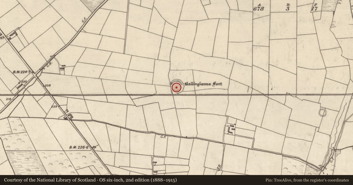 Ordnance Survey six-inch map, 2nd edition (1888–1915) covering the location of Ringfort - rath, Ballinglanna, County Kerry, with a pin at the register's coordinates