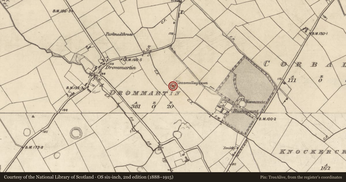 Ordnance Survey six-inch map, 2nd edition (1888–1915) covering the location of Ringfort - cashel, Drommartin, Knockercreeveen, County Kerry, with a pin at the register's coordinates