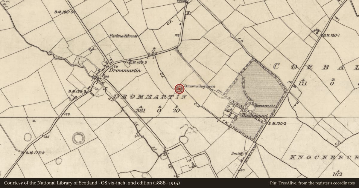 Ordnance Survey six-inch map, 2nd edition (1888–1915) covering the location of Souterrain, Drommartin, Knockercreeveen, County Kerry, with a pin at the register's coordinates