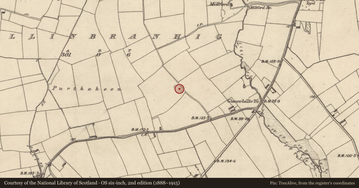 Ordnance Survey six-inch map, 2nd edition (1888–1915) covering the location of Ringfort - rath, Ballinbranhig, County Kerry, with a pin at the register's coordinates