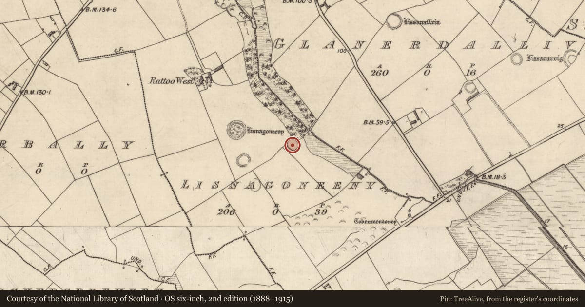 Ordnance Survey six-inch map, 2nd edition (1888–1915) covering the location of Ringfort - rath, Lisnagoneeny, County Kerry, with a pin at the register's coordinates
