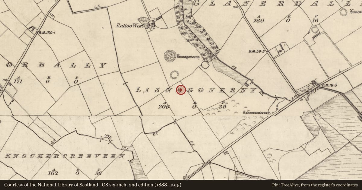 Ordnance Survey six-inch map, 2nd edition (1888–1915) covering the location of Ringfort - rath, Lisnagoneeny, County Kerry, with a pin at the register's coordinates