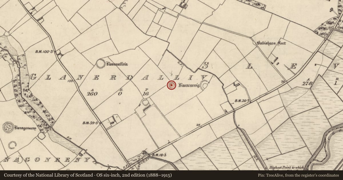 Ordnance Survey six-inch map, 2nd edition (1888–1915) covering the location of Souterrain, Glanerdalliv, County Kerry, with a pin at the register's coordinates