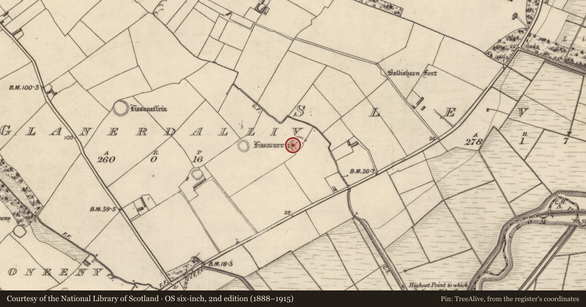 Ordnance Survey six-inch map, 2nd edition (1888–1915) covering the location of Souterrain, Glanerdalliv, County Kerry, with a pin at the register's coordinates
