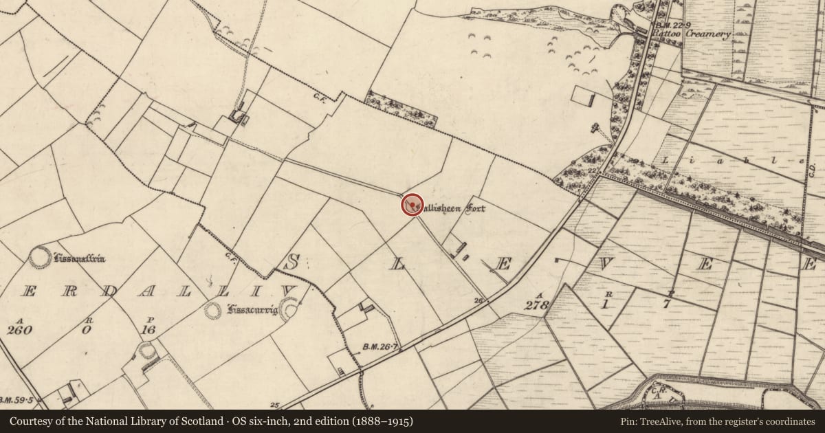 Ordnance Survey six-inch map, 2nd edition (1888–1915) covering the location of Ringfort - rath, Sleveen, County Kerry, with a pin at the register's coordinates