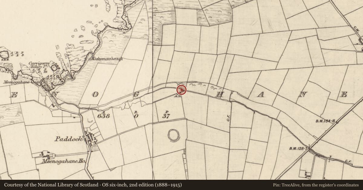 Ordnance Survey six-inch map, 2nd edition (1888–1915) covering the location of Enclosure, Meenogahane, County Kerry, with a pin at the register's coordinates