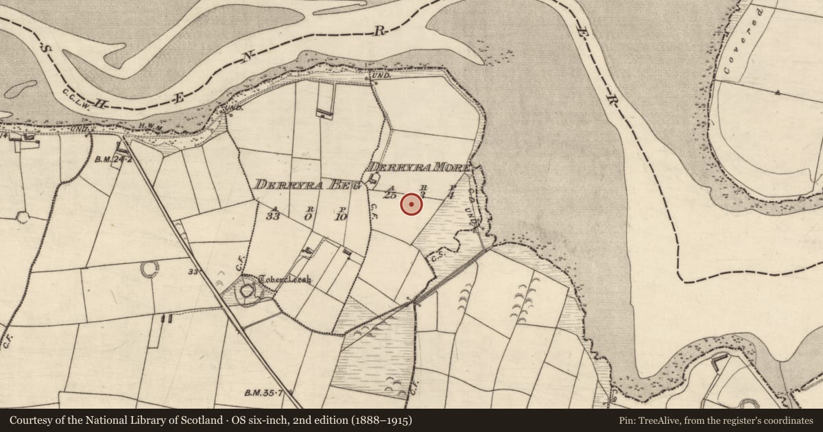 Ordnance Survey six-inch map, 2nd edition (1888–1915) covering the location of Souterrain, Derryra More, County Kerry, with a pin at the register's coordinates