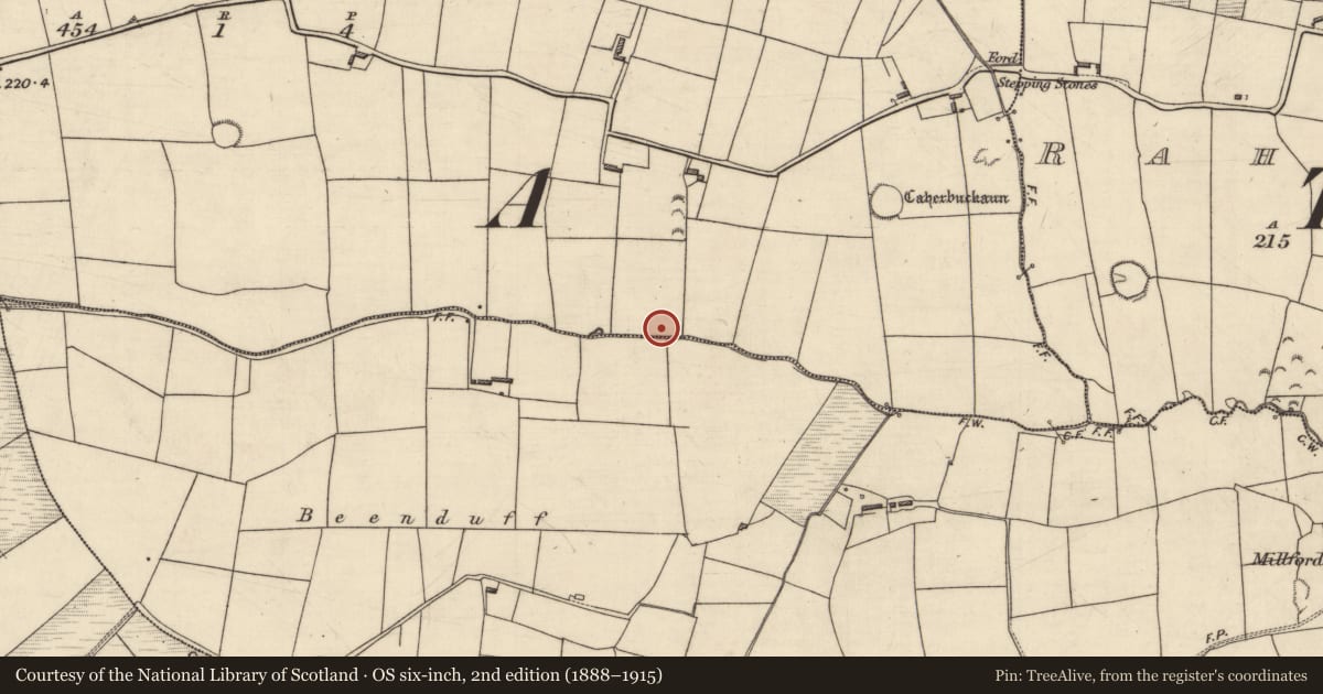 Ordnance Survey six-inch map, 2nd edition (1888–1915) covering the location of Fulacht fia, Addergown, County Kerry, with a pin at the register's coordinates