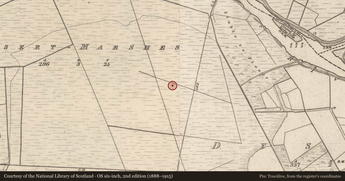 Ordnance Survey six-inch map, 2nd edition (1888–1915) covering the location of Road - unclassified togher, Dysert, Dysert Marshes, County Kerry, with a pin at the register's coordinates