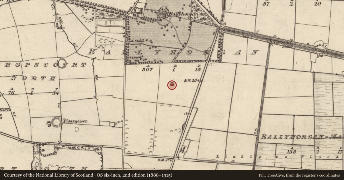 Ordnance Survey six-inch map, 2nd edition (1888–1915) covering the location of Enclosure, Ballyhorgan, County Kerry, with a pin at the register's coordinates