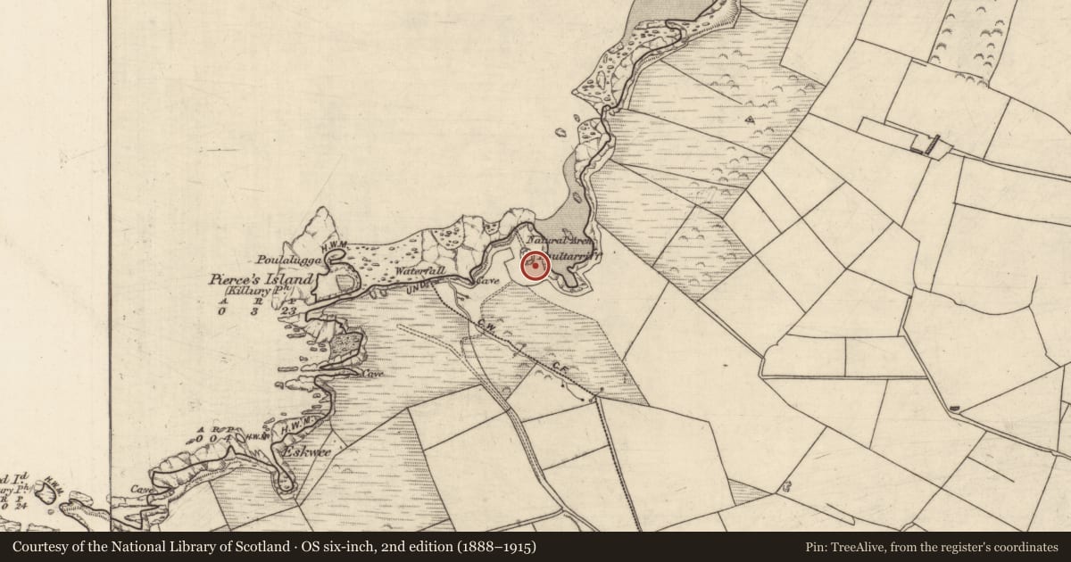 Ordnance Survey six-inch map, 2nd edition (1888–1915) covering the location of Mine - lead, Clashmelcon, County Kerry, with a pin at the register's coordinates