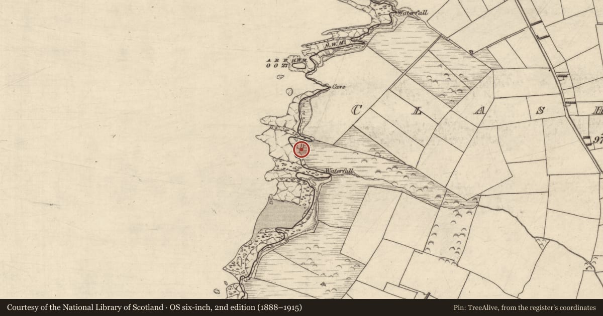 Ordnance Survey six-inch map, 2nd edition (1888–1915) covering the location of Promontory fort - coastal, Clashmelcon, County Kerry, with a pin at the register's coordinates