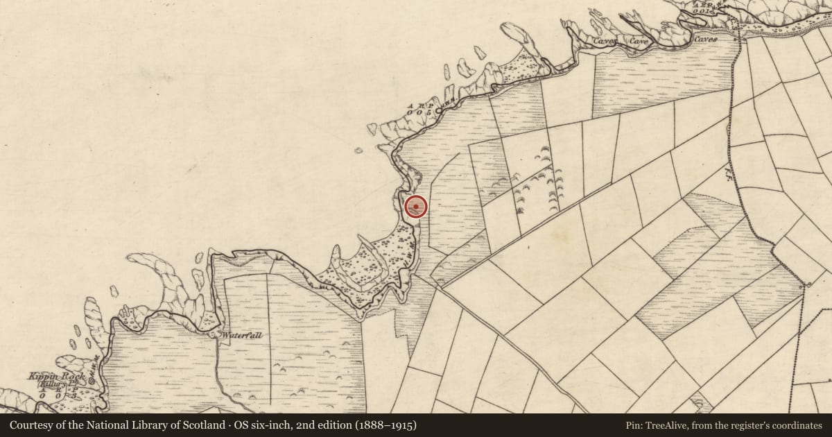 Ordnance Survey six-inch map, 2nd edition (1888–1915) covering the location of Promontory fort - coastal, Clashmelcon, County Kerry, with a pin at the register's coordinates