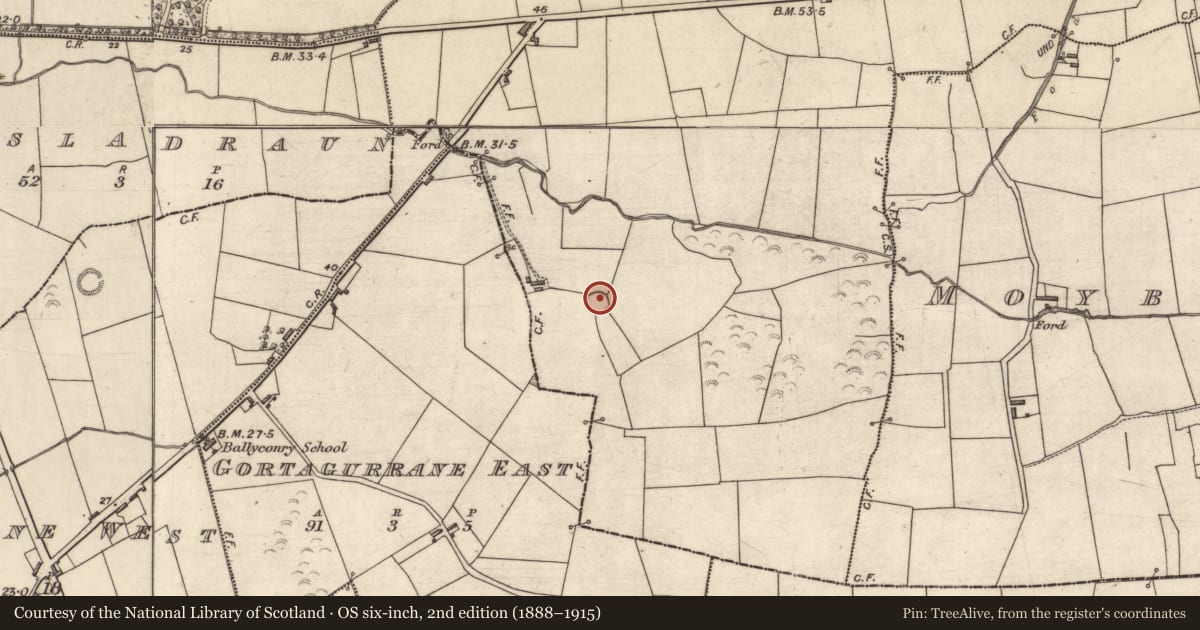 Ordnance Survey six-inch map, 2nd edition (1888–1915) covering the location of Ringfort - rath, Moybella North, County Kerry, with a pin at the register's coordinates