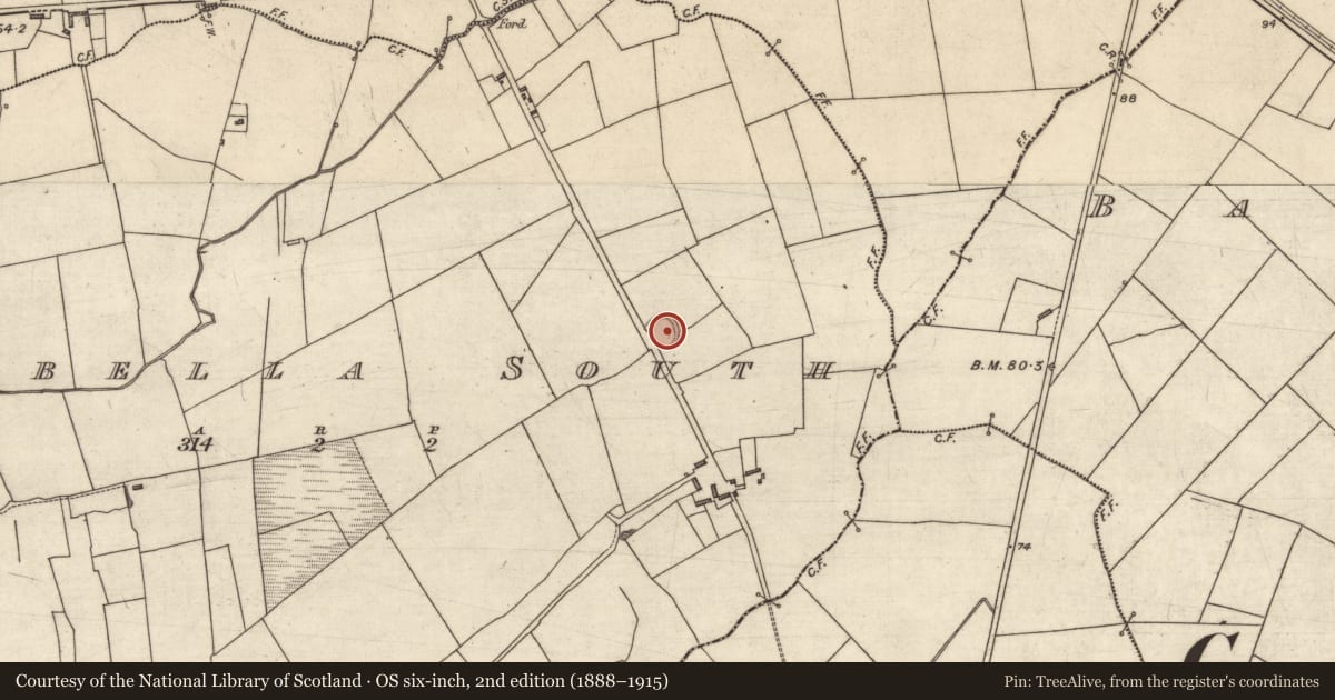 Ordnance Survey six-inch map, 2nd edition (1888–1915) covering the location of Ringfort - rath, Moybella South, County Kerry, with a pin at the register's coordinates