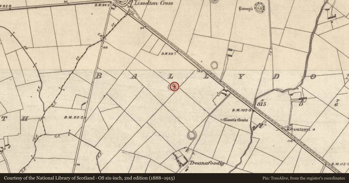 Ordnance Survey six-inch map, 2nd edition (1888–1915) covering the location of Ringfort - rath, Ballydonohoe, County Kerry, with a pin at the register's coordinates