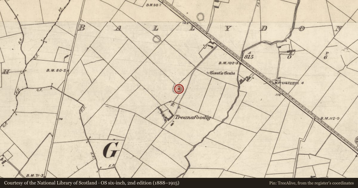 Ordnance Survey six-inch map, 2nd edition (1888–1915) covering the location of Ringfort - rath, Ballydonohoe, County Kerry, with a pin at the register's coordinates