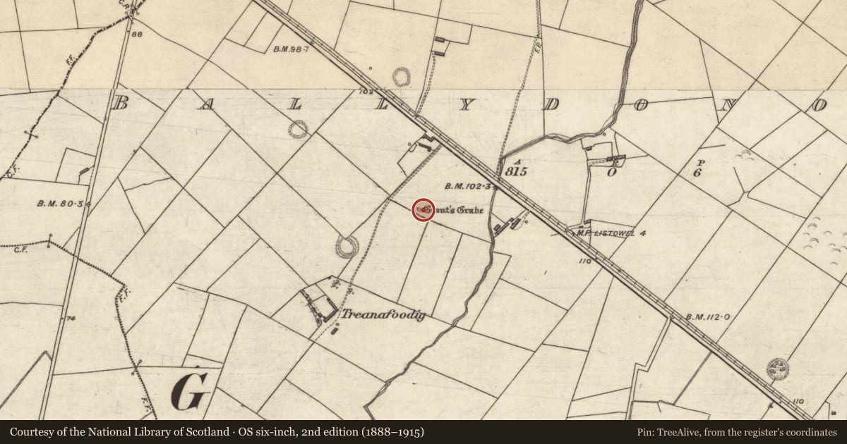 Ordnance Survey six-inch map, 2nd edition (1888–1915) covering the location of Megalithic tomb - unclassified, Ballydonohoe, County Kerry, with a pin at the register's coordinates