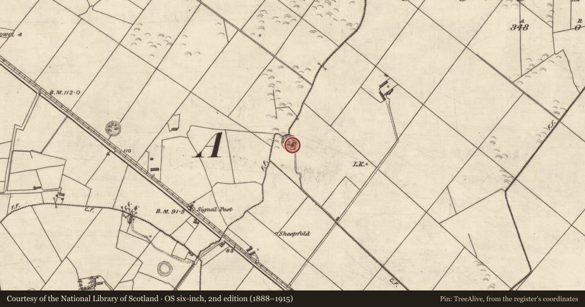 Ordnance Survey six-inch map, 2nd edition (1888–1915) covering the location of Ringfort - rath, Coolard, County Kerry, with a pin at the register's coordinates