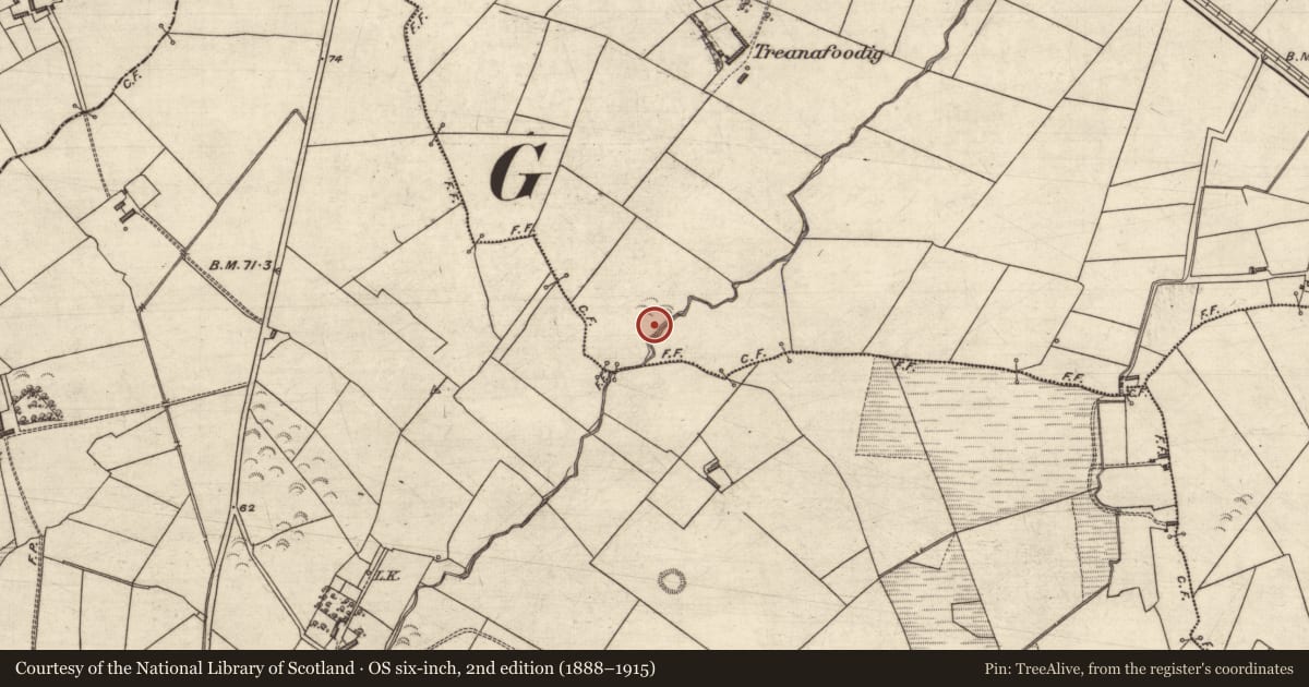 Ordnance Survey six-inch map, 2nd edition (1888–1915) covering the location of Ringfort - rath, Ballydonohoe, County Kerry, with a pin at the register's coordinates