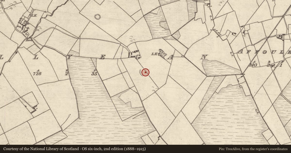 Ordnance Survey six-inch map, 2nd edition (1888–1915) covering the location of Ringfort - rath, Ballyegan, County Kerry, with a pin at the register's coordinates