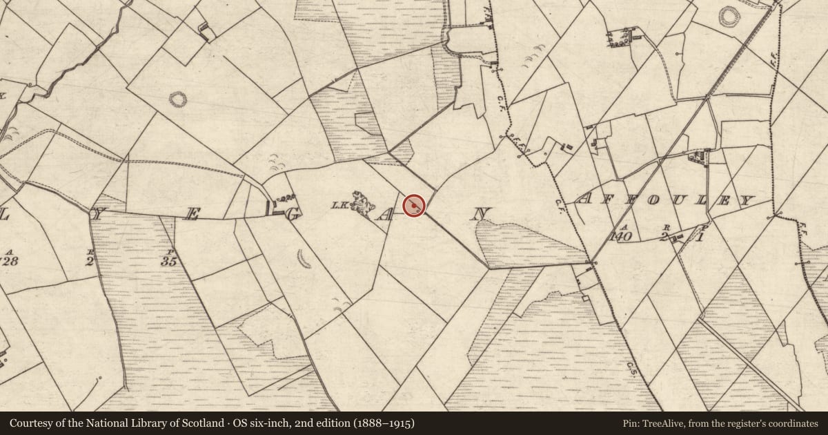Ordnance Survey six-inch map, 2nd edition (1888–1915) covering the location of Ringfort - rath, Ballyegan, County Kerry, with a pin at the register's coordinates