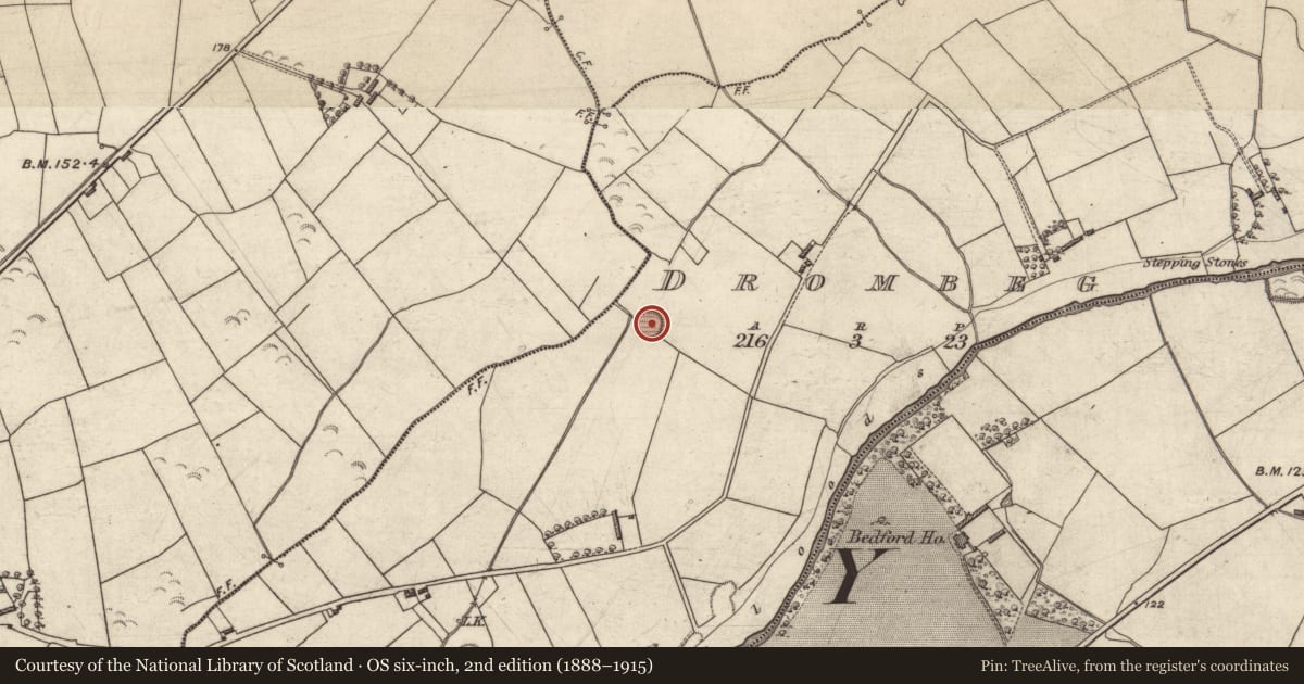 Ordnance Survey six-inch map, 2nd edition (1888–1915) covering the location of Ringfort - rath, Drombeg, County Kerry, with a pin at the register's coordinates