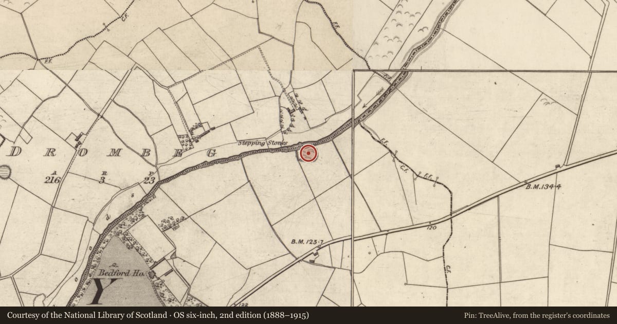 Ordnance Survey six-inch map, 2nd edition (1888–1915) covering the location of Earthwork, Bedford, County Kerry, with a pin at the register's coordinates