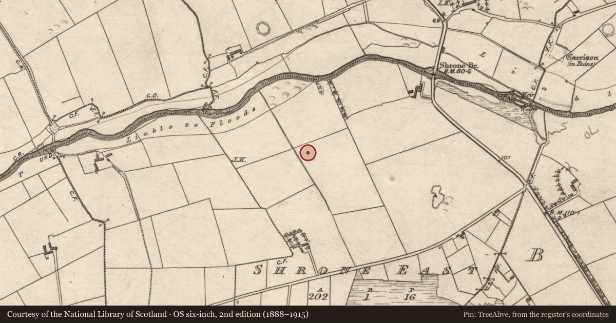 Ordnance Survey six-inch map, 2nd edition (1888–1915) covering the location of Ringfort - rath, Shrone East, County Kerry, with a pin at the register's coordinates