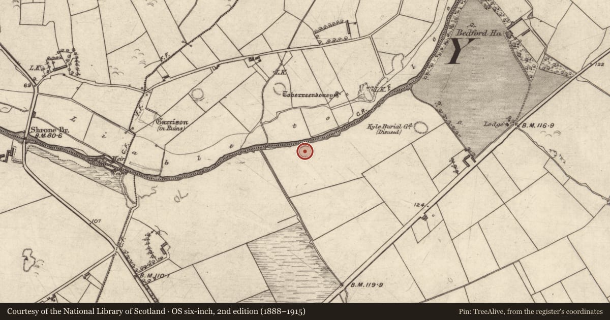 Ordnance Survey six-inch map, 2nd edition (1888–1915) covering the location of Souterrain, Bedford, County Kerry, with a pin at the register's coordinates