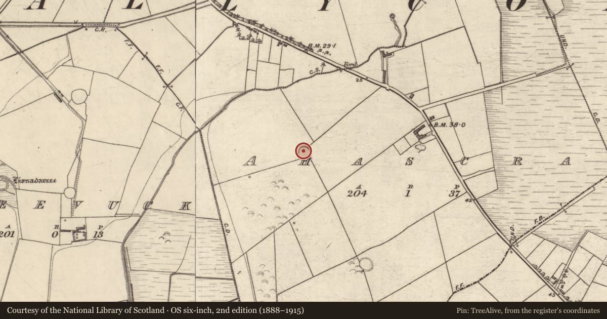 Ordnance Survey six-inch map, 2nd edition (1888–1915) covering the location of Ringfort - rath, Ahascra, County Kerry, with a pin at the register's coordinates