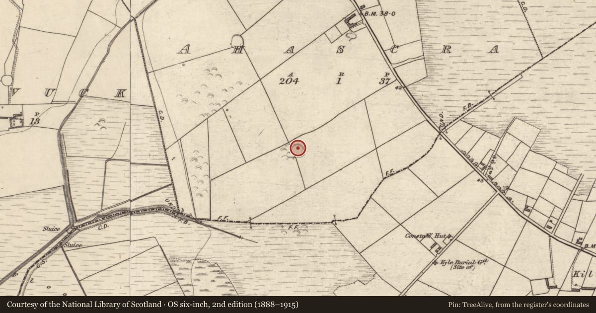 Ordnance Survey six-inch map, 2nd edition (1888–1915) covering the location of Ringfort - rath, Ahascra, County Kerry, with a pin at the register's coordinates