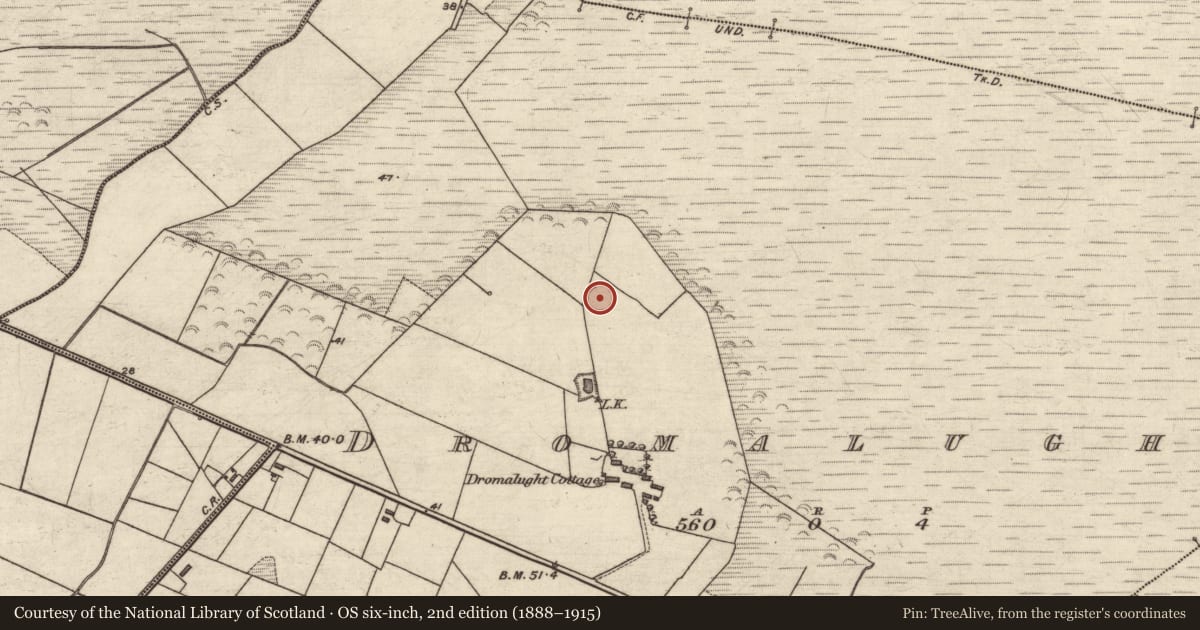 Ordnance Survey six-inch map, 2nd edition (1888–1915) covering the location of Ringfort - rath, Dromalught, County Kerry, with a pin at the register's coordinates