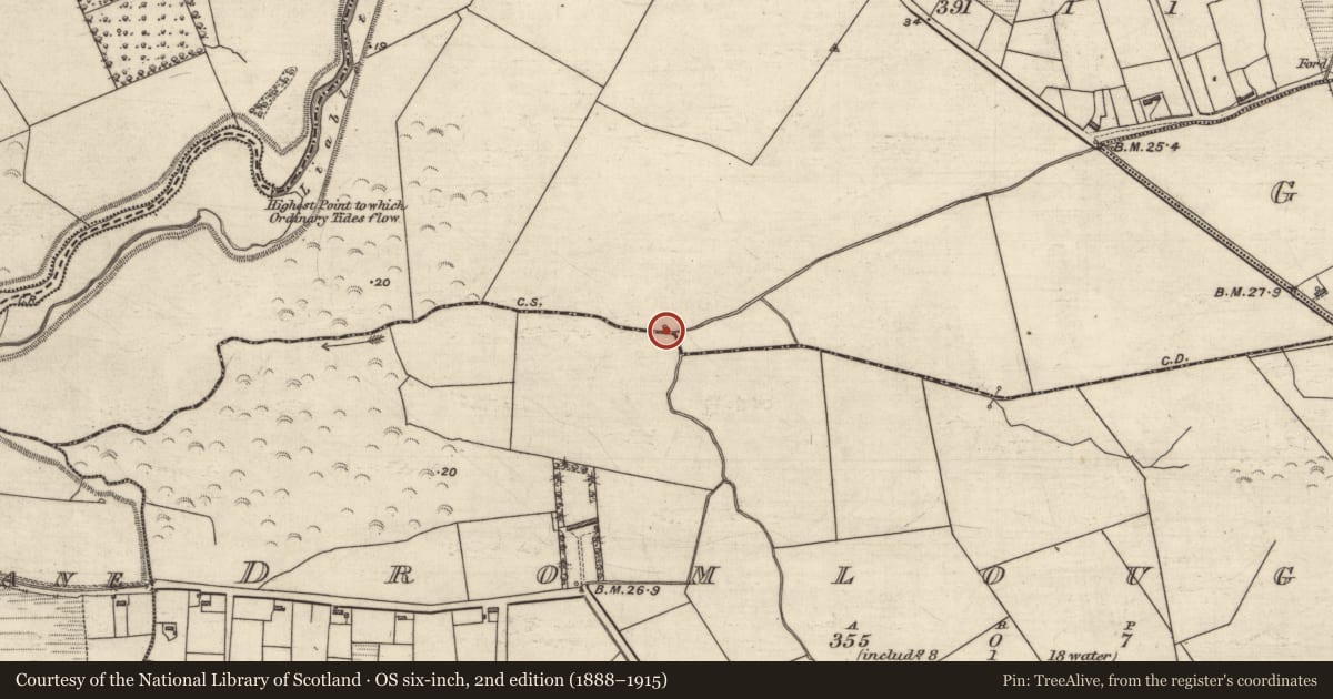 Ordnance Survey six-inch map, 2nd edition (1888–1915) covering the location of Ritual site - holy well, Gortacrossane, County Kerry, with a pin at the register's coordinates