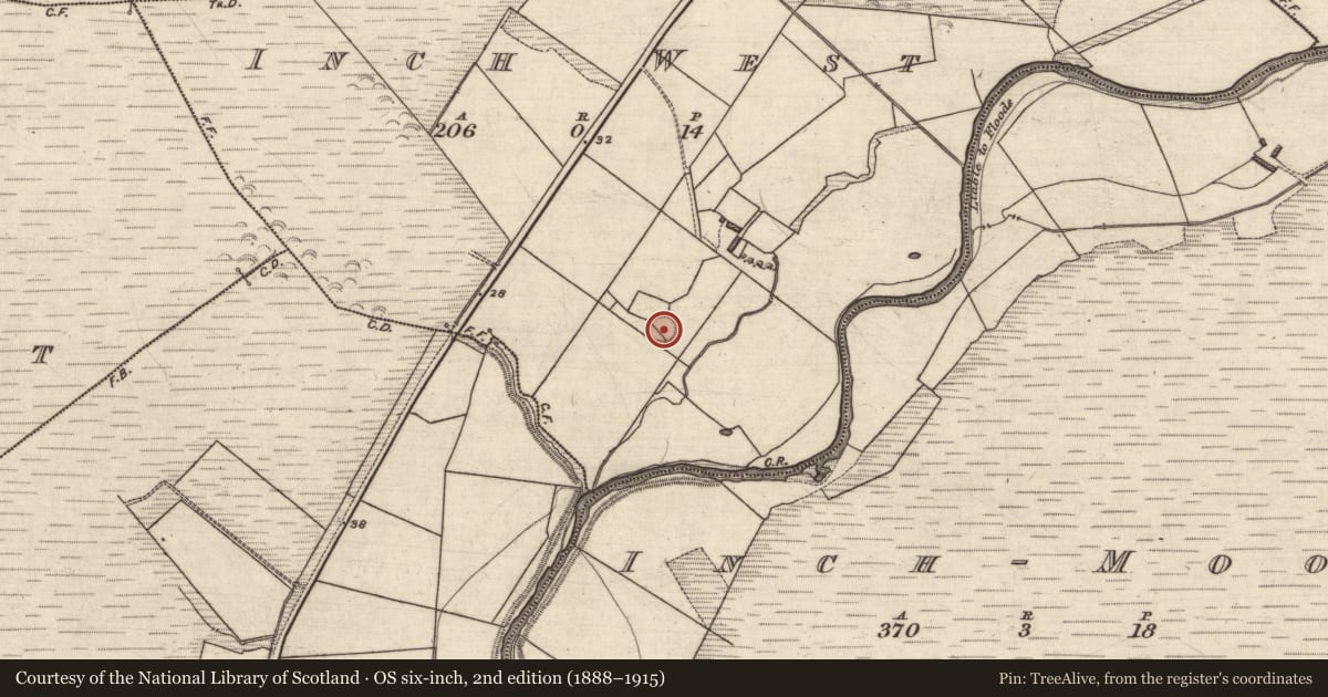 Ordnance Survey six-inch map, 2nd edition (1888–1915) covering the location of Ringfort - rath, Inch West, County Kerry, with a pin at the register's coordinates