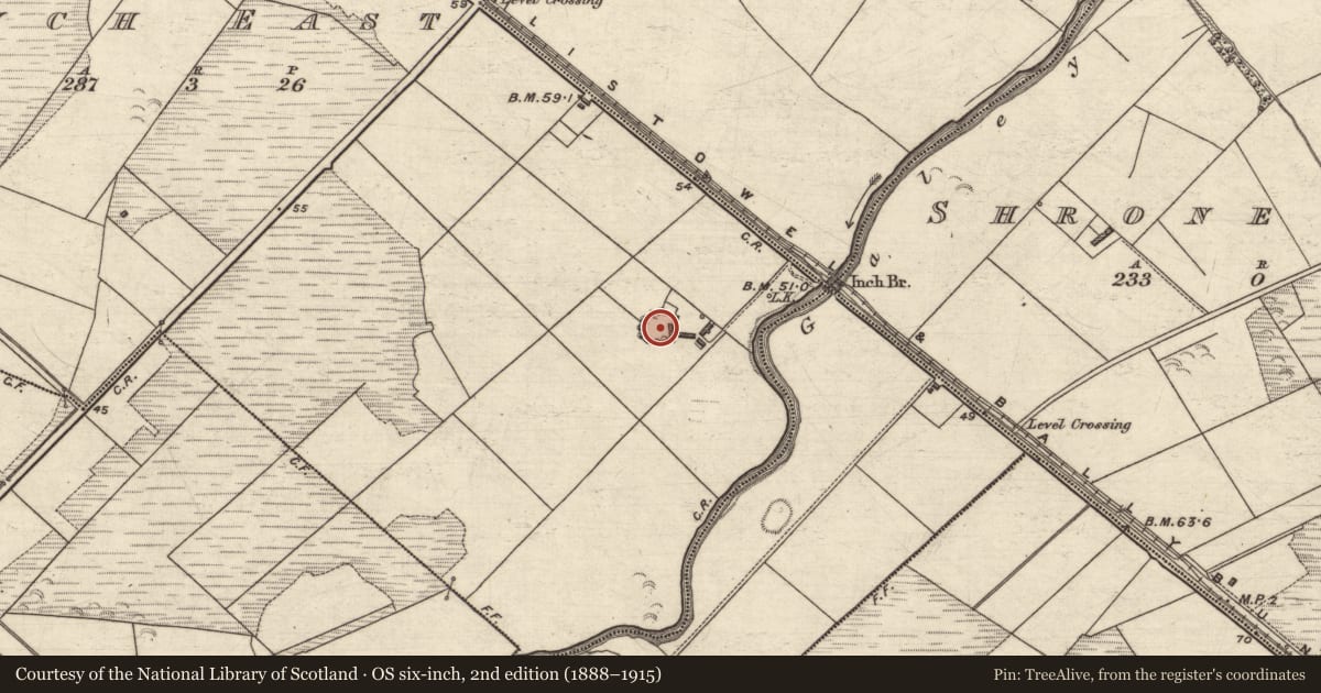 Ordnance Survey six-inch map, 2nd edition (1888–1915) covering the location of Enclosure, Inch East, County Kerry, with a pin at the register's coordinates
