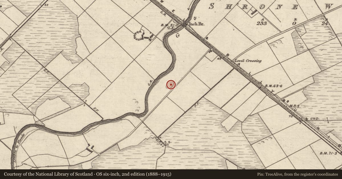 Ordnance Survey six-inch map, 2nd edition (1888–1915) covering the location of Ringfort - rath, Inch-Moor, County Kerry, with a pin at the register's coordinates
