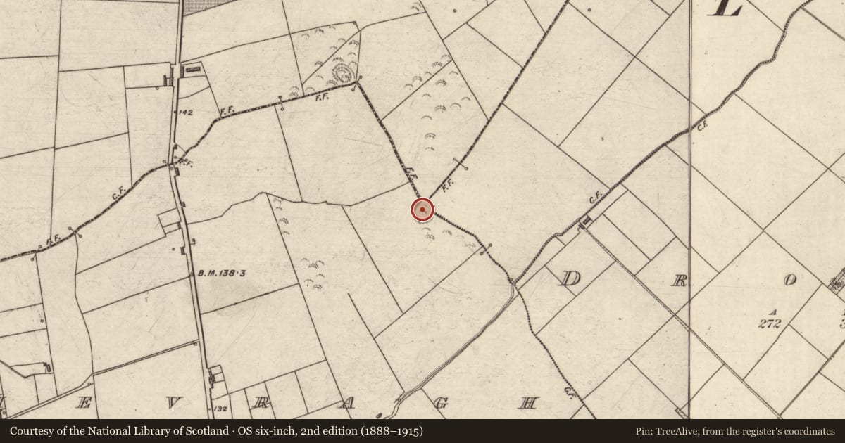 Ordnance Survey six-inch map, 2nd edition (1888–1915) covering the location of Ringfort - rath, County Kerry, with a pin at the register's coordinates