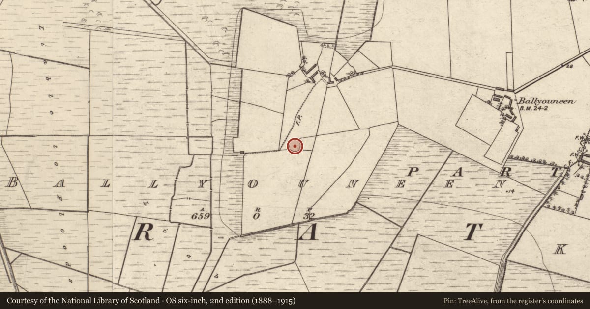 Ordnance Survey six-inch map, 2nd edition (1888–1915) covering the location of Enclosure, Ballyouneen, County Kerry, with a pin at the register's coordinates
