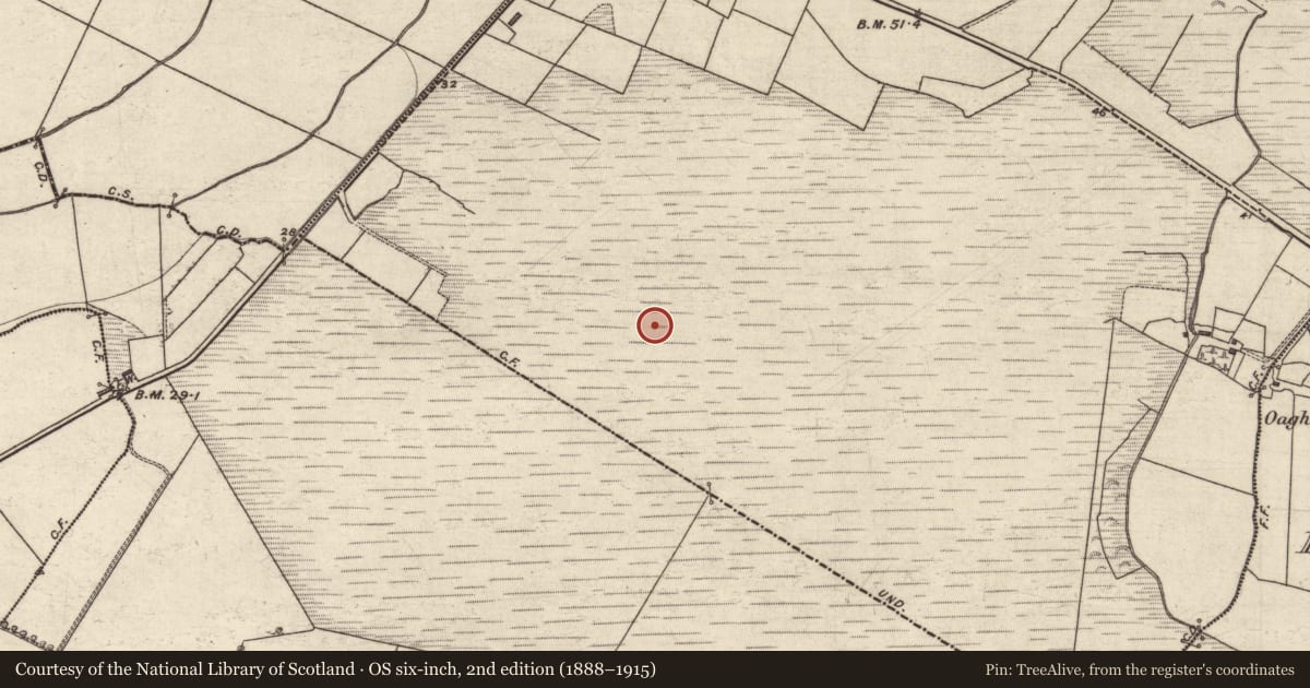 Ordnance Survey six-inch map, 2nd edition (1888–1915) covering the location of Road - unclassified togher, Dromalught, Killarida, County Kerry, with a pin at the register's coordinates