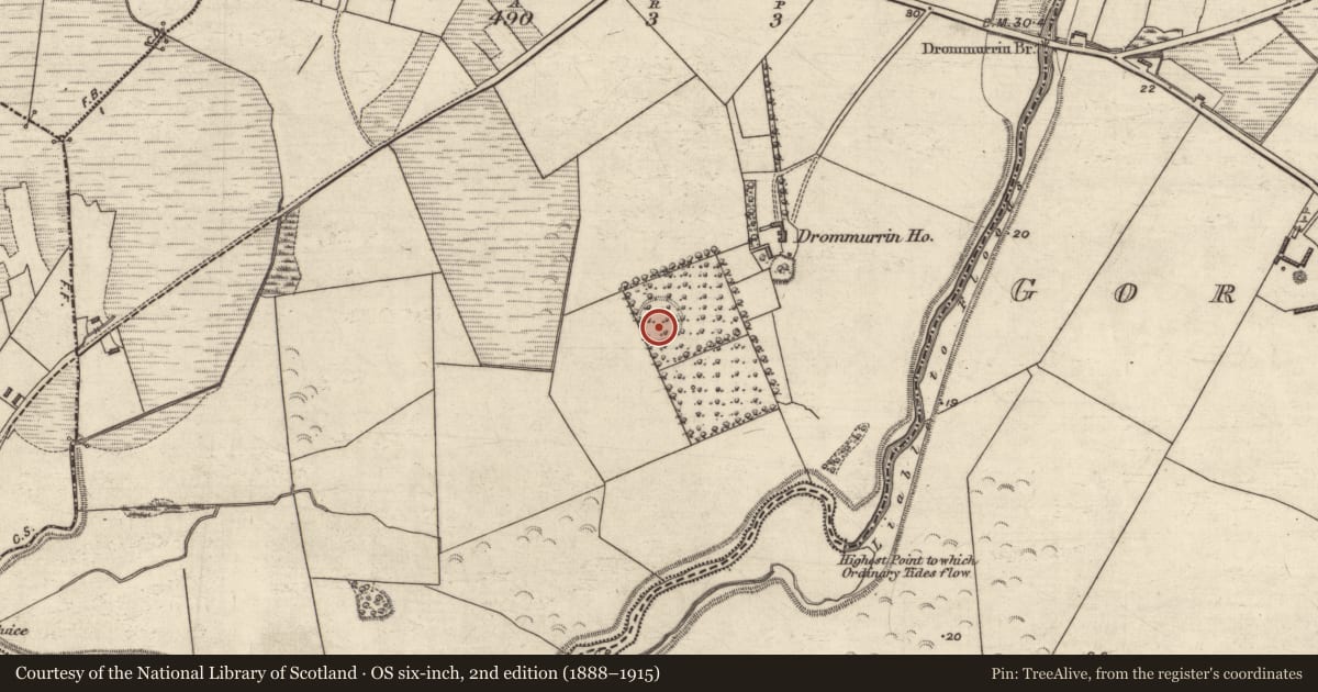 Ordnance Survey six-inch map, 2nd edition (1888–1915) covering the location of Ringfort - rath, Drommurrin, County Kerry, with a pin at the register's coordinates