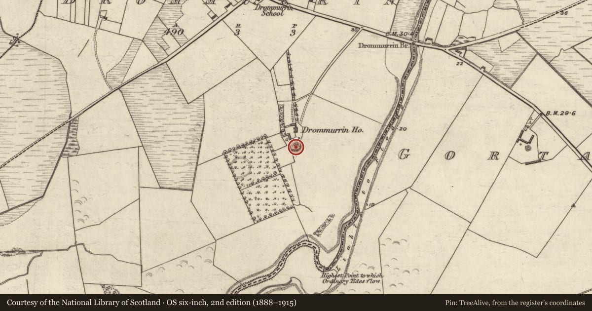 Ordnance Survey six-inch map, 2nd edition (1888–1915) covering the location of Ringfort - rath, Drommurrin, County Kerry, with a pin at the register's coordinates