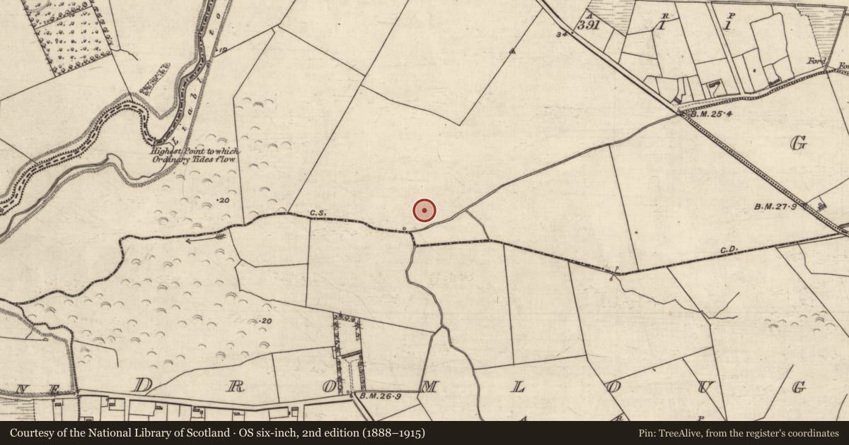Ordnance Survey six-inch map, 2nd edition (1888–1915) covering the location of Enclosure, Gortacrossane, County Kerry, with a pin at the register's coordinates