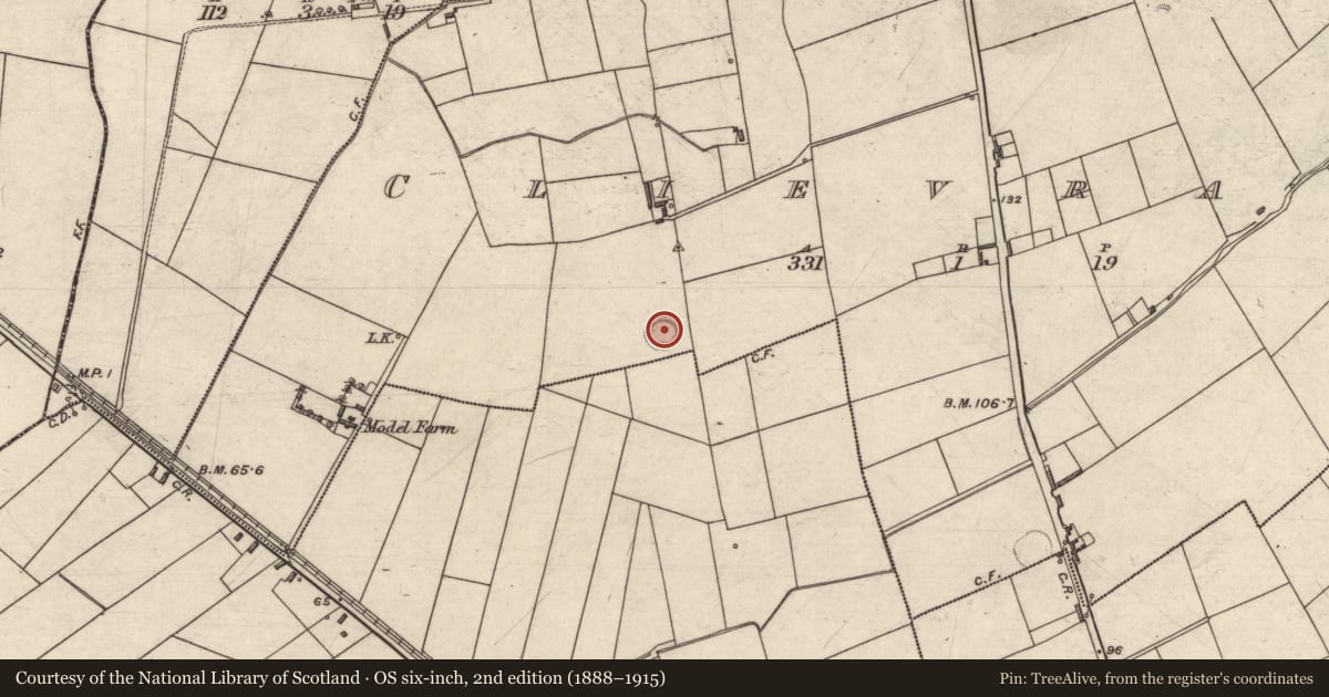Ordnance Survey six-inch map, 2nd edition (1888–1915) covering the location of Ringfort - rath, Clievragh, County Kerry, with a pin at the register's coordinates