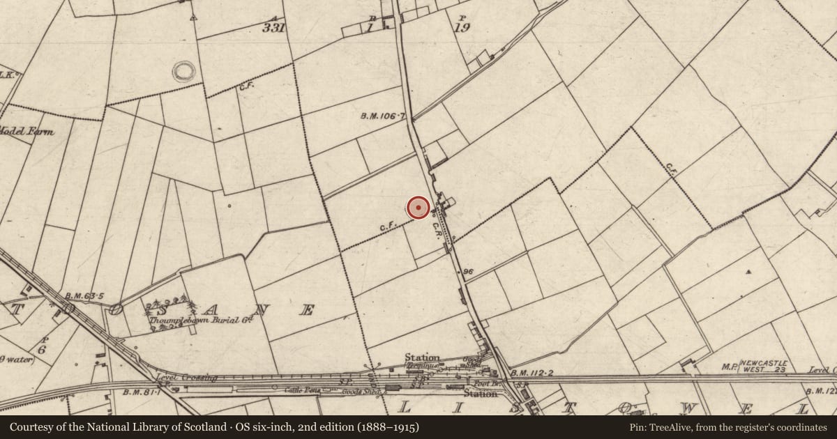 Ordnance Survey six-inch map, 2nd edition (1888–1915) covering the location of Ringfort - rath, Clievragh, Listowel, County Kerry, with a pin at the register's coordinates