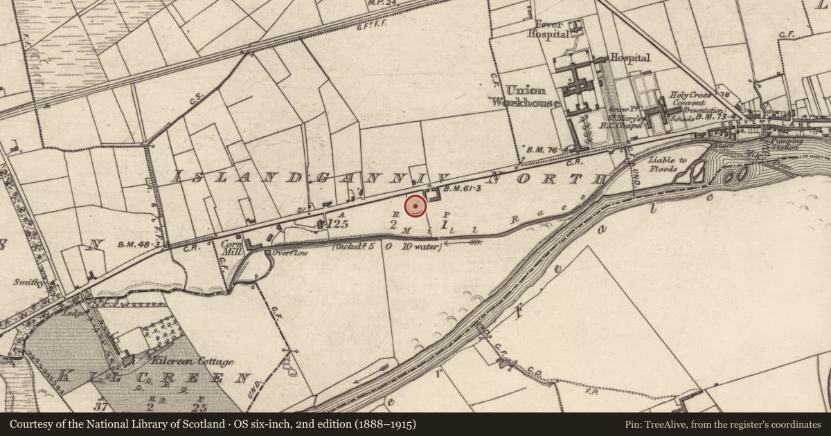 Ordnance Survey six-inch map, 2nd edition (1888–1915) covering the location of Enclosure, Islandganniv North, County Kerry, with a pin at the register's coordinates