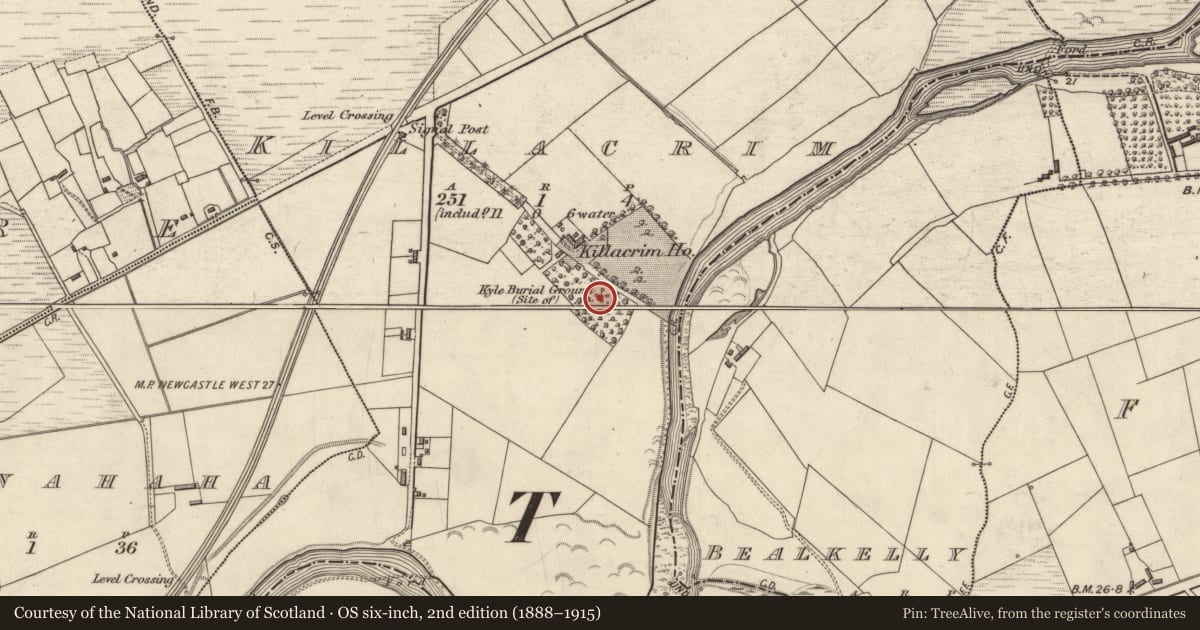 Ordnance Survey six-inch map, 2nd edition (1888–1915) covering the location of Children's burial ground, Killacrim, County Kerry, with a pin at the register's coordinates